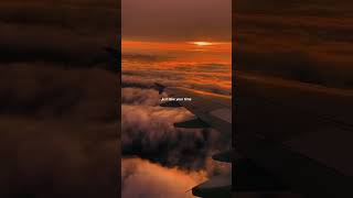 Stay  Zedd Ft Alessia Cara lyric short youtubeshortmusic  tiktokmusic2024 lyrics [upl. by Norud]