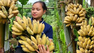 FULL VIDEO 120 Days Harvest Banana Litchi Fruit Melon Plum go market sell  Cooking Gardening [upl. by Marvin]