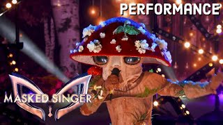 Mushroom sings “Unconditionally” by Katy Perry  THE MASKED SINGER  SEASON 4 [upl. by Lucy]