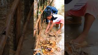 Blocked Street Drain Unclogging Remove Leaves Out From Drian flashflood shortvideo shorts [upl. by Aikemehs]