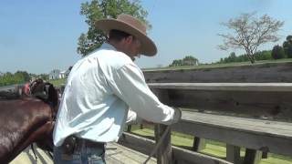 Safely Tie a Horse to Rail Fence [upl. by Decker]