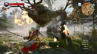 The Witcher 3 NextGen PS5 Full Game Part 15 no commentary [upl. by Ettelrats306]