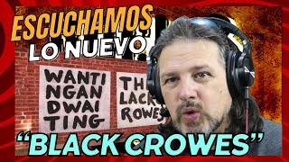 Black Crowes y su ultimo trabajo Wanting and Waiting [upl. by Ecad]