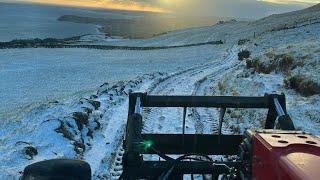 Pushing up silage and filling the diet feeder Gopro hero 12 sheep farming [upl. by Ardnuasac]