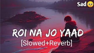 Roi Na Jo Yaad Meri Aayi SlowedReverb Sad lofi  New Sad Songs  Sad Song  Hindi Sad Song [upl. by Wager]