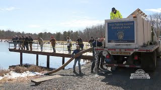 Trout Stocking Three Northeast PA Lakes [upl. by Ennylhsa]