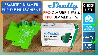 Shelly Pro Dimmer 1 PM amp 2 PM Review  Einbinden in die Shelly App amp Home Assistant  Anleitung [upl. by Phoebe]