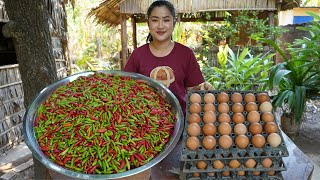 Yummy chili recipe and cooking with country style  Amazing cooking video [upl. by Asseral]