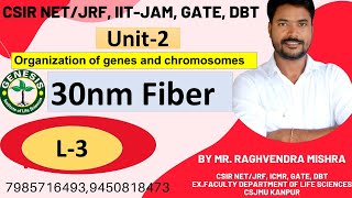 Heterochromatin Euchromatin  Chromosome  L4 Unit2 𝐆𝐞𝐧𝐞𝐬𝐢𝐬 𝐈𝐧𝐬𝐭𝐢𝐭𝐮𝐭𝐞 𝐨𝐟 𝐋𝐢𝐟𝐞 𝐒𝐜𝐢𝐞𝐧𝐜𝐞𝐬 [upl. by Sims]