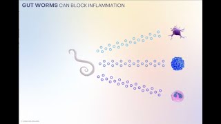 Holoclara Founder Session Developing Allergic and Autoimmune Disease Relief by Using Worms [upl. by Schurman901]