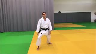 Tuto les positions principales du karaté shotokan [upl. by Stelmach]