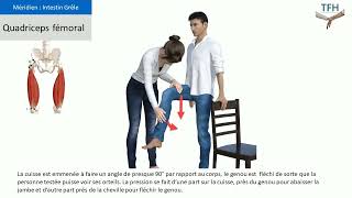 Test Muscle Quadriceps fémoral  Kinésiologie  Touch for Health  TFH [upl. by Hunley]