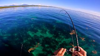 Easiest Way to Catch a COD or Grouper  Fishing in Palawan [upl. by Persis993]