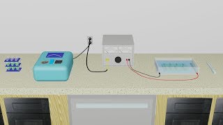 Gel Electrophoresis Animation [upl. by Bouchard582]