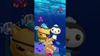 quotUnleashing Adventure Join the Octonauts on Epic Underwater Expeditionsquot  The Octonauts [upl. by Rexanne]