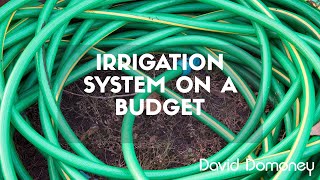 How to create your own garden irrigation system on a budget [upl. by Anawal]