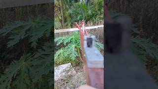 Amazing 🔥 wooden Slingshot DIY amazing shrots diyslingshot hunting [upl. by Llen113]