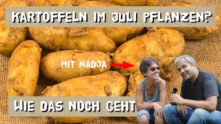 Kartoffeln nochmal im Juli pflanzen  mit Nadja Neues vom Landei [upl. by Kowal]