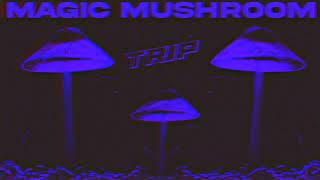 ✨🍄 PSILOCYBIN MAGIC MUSHROOM TRIP MUSIC 🍄✨  POWERFUL SUBLIMINAL AFFIRMATIONS  432HZ THETA WAVES [upl. by Rucker514]