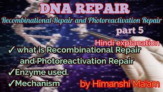 DNA Recombinational repair and Photoreactivation Repair in Hindi by Himanshi Maam [upl. by Nitnilc630]