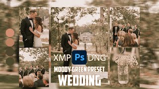 Photoshop Tutorials  Moody Green Preset Color Grading Green Tone Wedding Download Preset [upl. by Rosalinde]