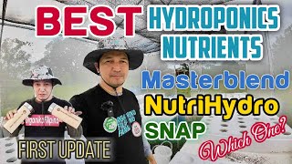 Best Hydroponics Nutrients  Hydroponics Lettuce  Kratky Method [upl. by Meeker]