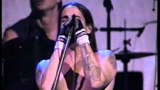 Red Hot Chili Peppers Madison Square Garden NYC 1996 [upl. by Jo Ann]