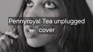 Pennyroyal Tea nirvana unplugged cover [upl. by Ennirac]