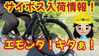 🚵サイボス入荷🚵2020 TREK Emonda ALR 4Discに乗ってみた！🚵トレック エモンダ！武庫川まころん🚵 [upl. by Joerg]