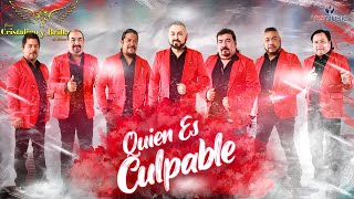 Cristalino Y Brillante quotQuien Es CulpablequotVideo Oficial [upl. by Andrej]