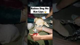 Rabies Dog Ne Kat Liya 😱  minivlog [upl. by Bittencourt642]