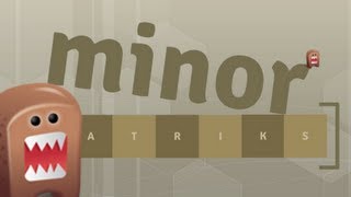 Minor Matriks [upl. by Dunn]