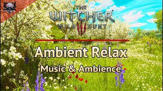 The Witcher 3 Relaxing Ambient Music  4 Hours of Emotional and Relaxing Soundtrack and Ambience [upl. by Atsahc]