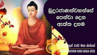 බුදුරජාණන්වහන්සේ පෙන්වා දෙන ඇත්ත දහම Maha Rahathun Wadi Maga Osse [upl. by Enelram760]