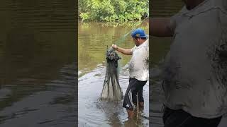 Esto lo bueno del río que no sabes que pescado bas agarrar pesca 🙏🐟🐊🐢😁😁😁🐠🇸🇻 [upl. by Oicneserc372]