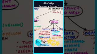 The Laburnum Top Class 11Summary WATCH FULL VIDEO shorts learnenglishwithrajnidua [upl. by Yeldarb84]