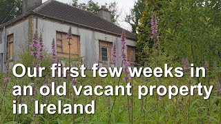 First few weeks in an old vacant property in Ireland [upl. by Podvin]