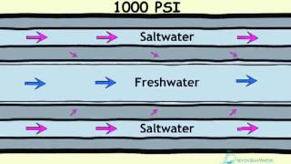 How Desalination Works [upl. by Ney18]