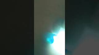 How did my glow stick do that 😲😯😲😲😲😲🥵😲😲😲😯😯😯😯😯😯😯😯 [upl. by Nirred]