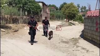 Report TV  Vijon aksioni i policisë në fshatin Llakatund [upl. by Cornelius]