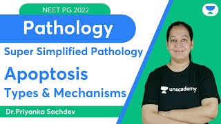 Super simplified Pathology  Apoptosis  Dr Priyanka Sachdev [upl. by Primalia804]