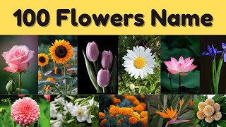 Flowers Name । 100 Different Types of Flowers Name in English with Pictures [upl. by Adalai890]