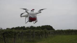 Phantom 4 Pro with Rededge Intergration system installed [upl. by Klaus]