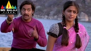 Yamadonga Movie JrNTR amp Priyamani Scene  Sri Balaji Video [upl. by Barris]