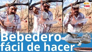 Hombre arma bebedero casero para las aves y se vuelve viral noticias [upl. by Leirua]