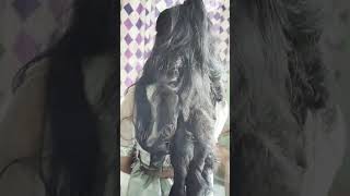 Role hair style saundrya beauty parlour sai road chaudagrashortsvedio Simmo811 [upl. by Torruella]