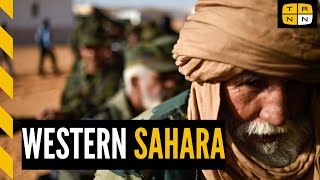 Frente Polisario explains the Western Sahara struggle wAmb Sidi Omar [upl. by Neelahtak]