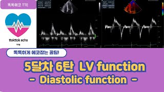 Diastolic function  Relaxation mitral inflow tdi echocardiography 심장초음파 heart echo view [upl. by Dunaville476]