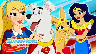 Day of FunShip  Webisode 311  DC Super Hero Girls [upl. by Nylasoj]