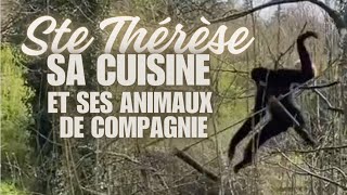 La cuisine de Ste Thérèse et ses animaux de compagnie [upl. by Ingvar]